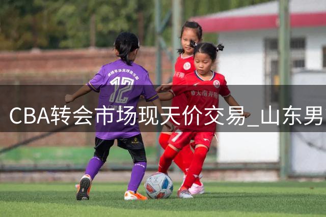 CBA转会市场现天价交易 山东男篮为何重金锁定本土新锐控卫？